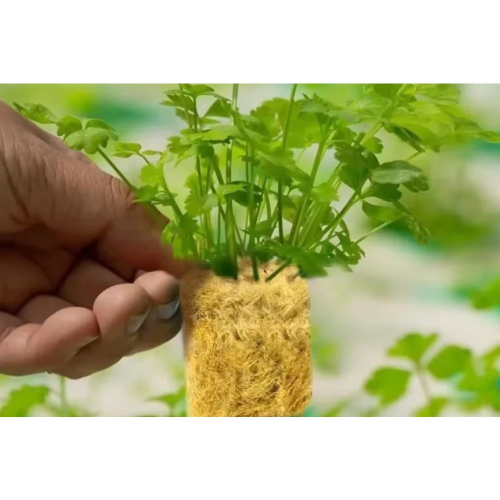 42Pcs Soilless Cultivation Rock Wool Substrate Seedling Grow Cubes Vegetable Planting Cube