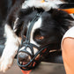 2Pcs Adjustable Pet Dog Anti Bark Mesh Mask