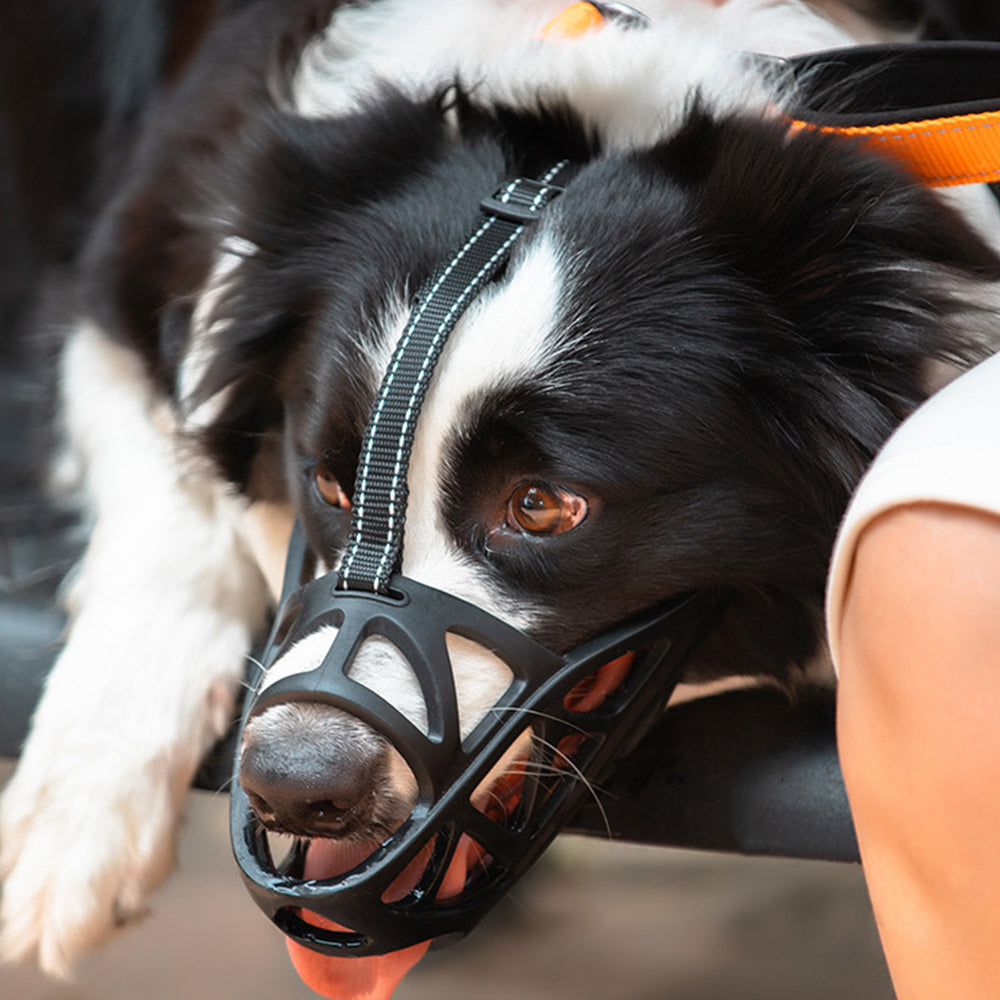 2Pcs Adjustable Pet Dog Anti Bark Mesh Mask
