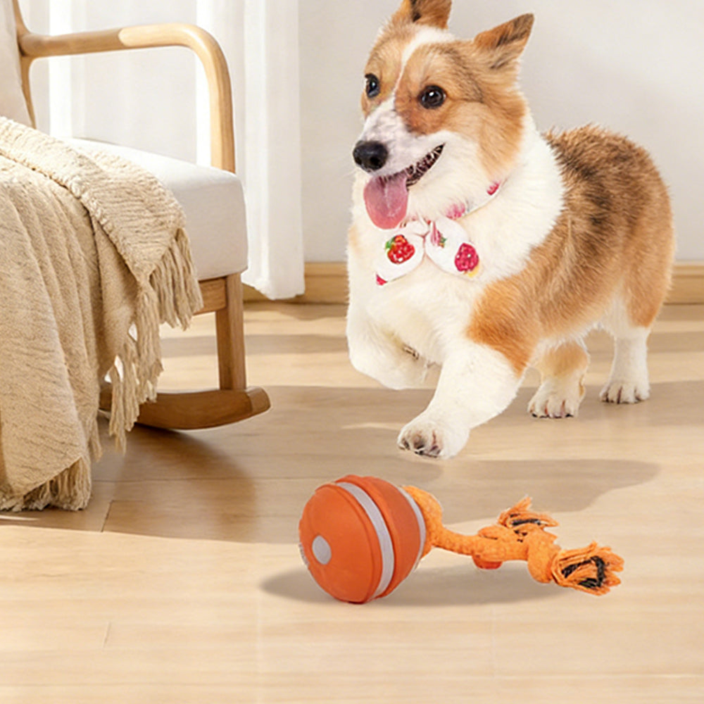 Motion Activated Interactive Dog Ball Toy