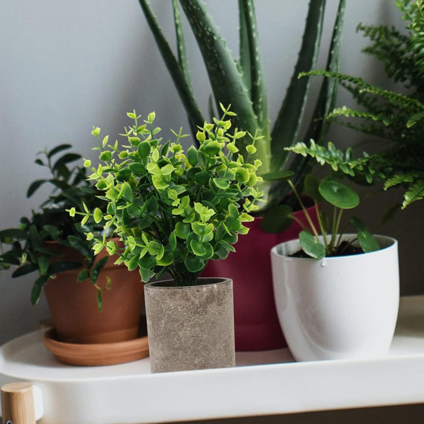3Pcs Mini Potted Artificial Plastic Green Plants