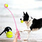60cm Pet Dog Puppy Tennis Ball Launcher with Ball