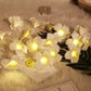 20/30 LEDs Sloar String Light Lemon Decor Fairy String Lights