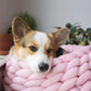 Cotton Knitted Warm Soft Cat Nest for Dogs and Cats