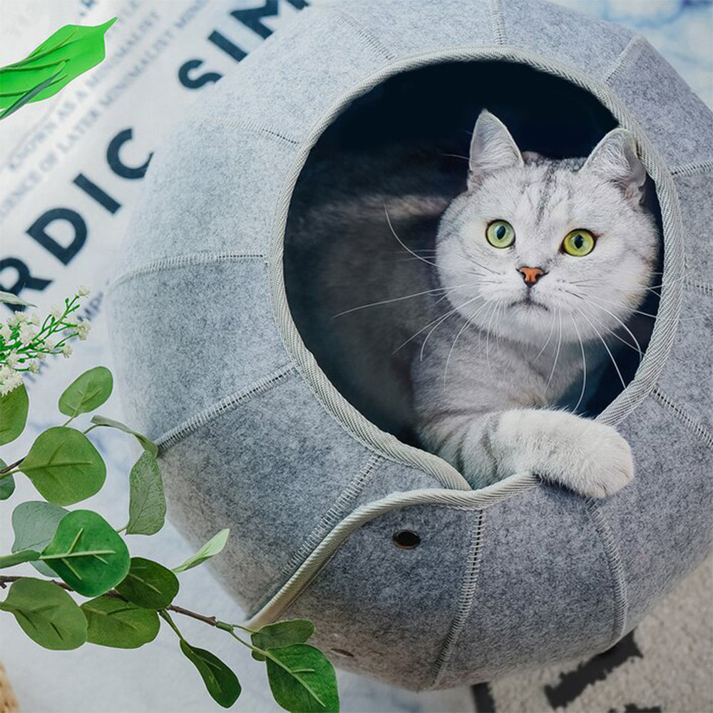 Pet Foldable Tunnel Tube Condos Shell Cat Bed House Indoor