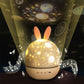 3 in 1 Rechargeable Rotating Star Projector Night Light Classic Music Box with 6 Theme Light