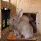 Rabbit Guinea Pig Small Animal Pet 2/4 Holes Hanging Weed Storage Feeding Bag
