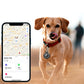 Silicone Shockproof Protective Case for Airtag