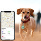 Silicone Shockproof Protective Case for Airtag