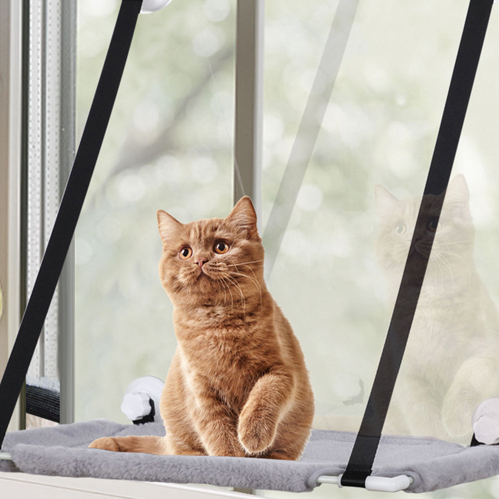 Single Dual Layer Cat Hammock with Thick Mat Cat Sucker Warm Hanging Nest