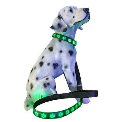 LED USB Rechargeable Flashing Pet Dog Collar for Night Security-Dog Collar+Leash