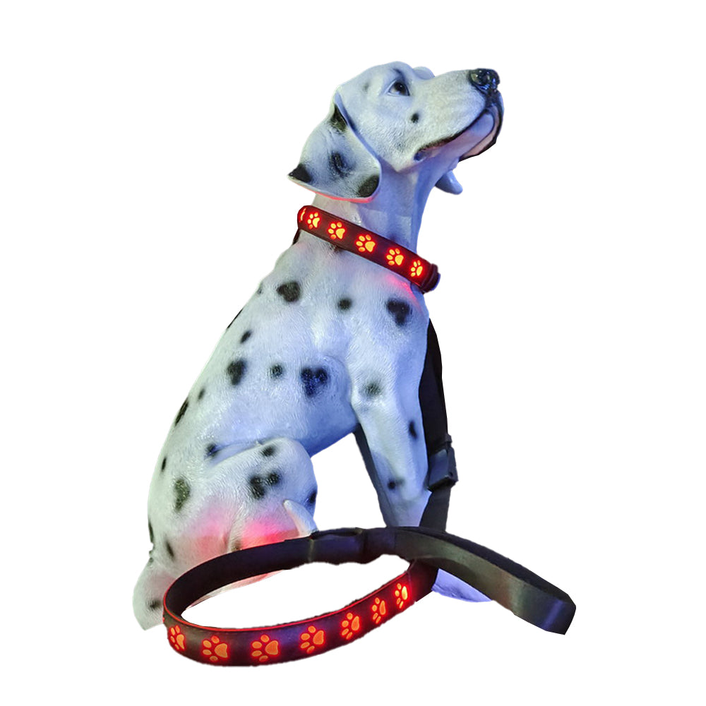 LED USB Rechargeable Flashing Pet Dog Collar for Night Security-Dog Collar+Leash