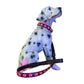 LED USB Rechargeable Flashing Pet Dog Collar for Night Security-Dog Collar+Leash