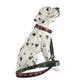 LED USB Rechargeable Flashing Pet Dog Collar for Night Security-Dog Collar+Leash