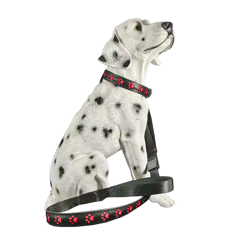 LED USB Rechargeable Flashing Pet Dog Collar for Night Security-Dog Collar+Leash