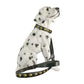 LED USB Rechargeable Flashing Pet Dog Collar for Night Security-Dog Collar+Leash