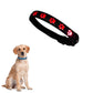 LED USB Rechargeable Flashing Pet Dog Collar for Night Security-Dog Collar