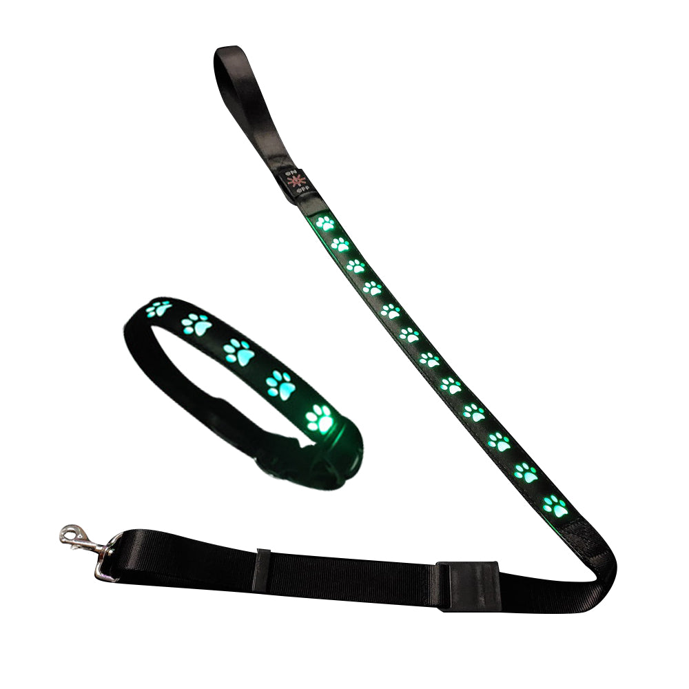 LED USB Rechargeable Flashing Pet Dog Collar for Night Security-Dog Collar+Leash