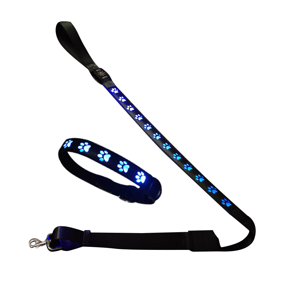LED USB Rechargeable Flashing Pet Dog Collar for Night Security-Dog Collar+Leash