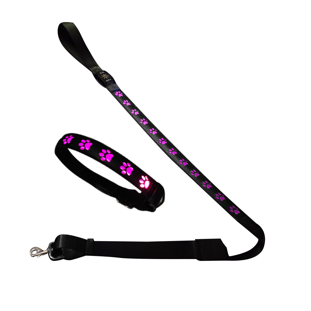 LED USB Rechargeable Flashing Pet Dog Collar for Night Security-Dog Collar+Leash