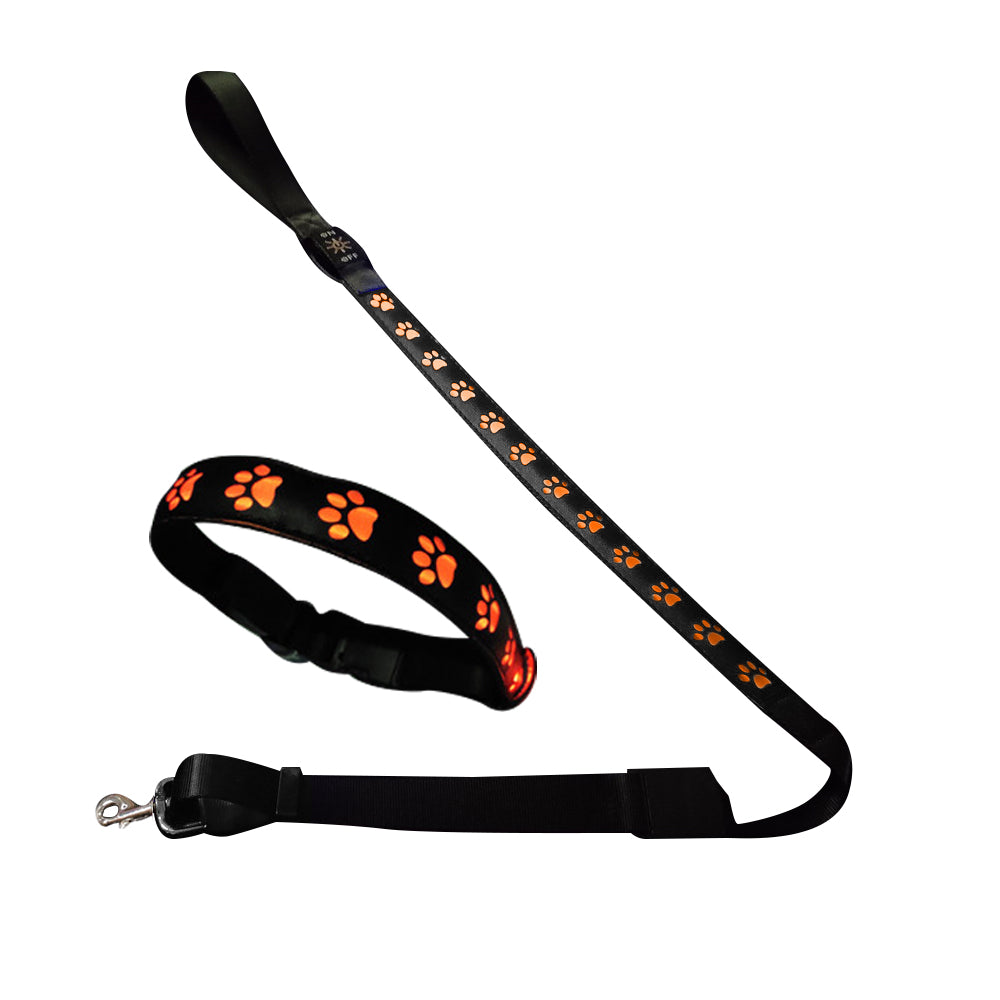 LED USB Rechargeable Flashing Pet Dog Collar for Night Security-Dog Collar+Leash