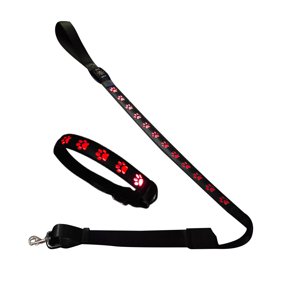 LED USB Rechargeable Flashing Pet Dog Collar for Night Security-Dog Collar+Leash