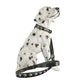 LED USB Rechargeable Flashing Pet Dog Collar for Night Security-Dog Collar+Leash
