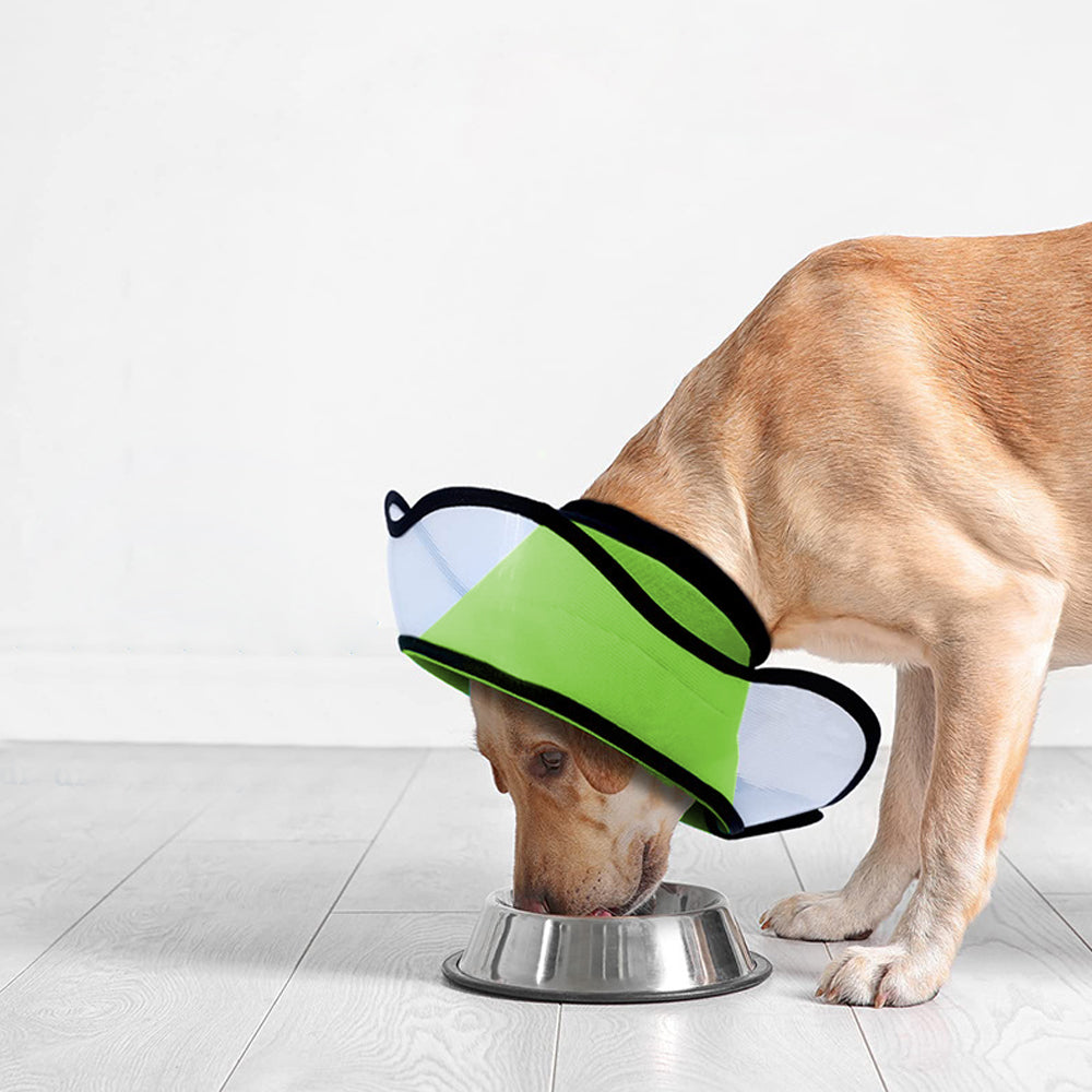 Adjustable Pet Recovery Neck Collar Prevents from Licking