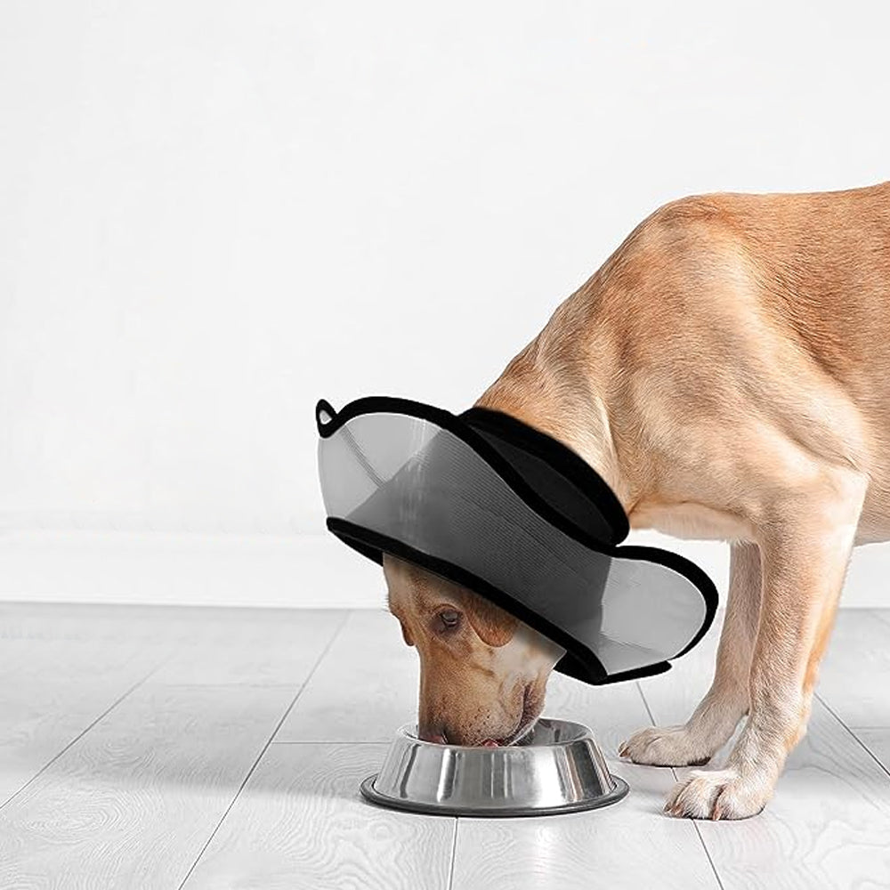 Adjustable Pet Recovery Neck Collar Prevents from Licking