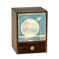 3D Glass LED Night Table Lamp-Astronauts on the Moon
