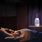 Electric Zapper Portable Rechargeable Mosquito Killer Lamp