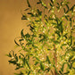 LED Simulation Plants Artificial Olive Trees Light
