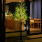 LED Simulation Plants Artificial Olive Trees Light