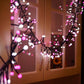 Firecracker Glowing String Lights