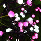 Firecracker Glowing String Lights
