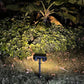 Solar Outdoor Water-resistant Security Lamp