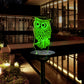 Solar Powered Transparent Acrylic LED Light-Owl