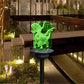 Solar Powered Transparent Acrylic LED Light-Charmander