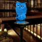 Solar Powered Transparent Acrylic LED Light-Owl