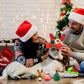 9Pcs Squeaky Christmas Dog Toy Set Festive Dog Chew Toy