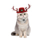 Pet Christmas Hats with Reindeer Antlers Festive Christmas Holiday Accessory