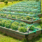 Garden Netting Green Anti Bird Protection Net Mesh Protect for Plants