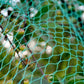 Garden Netting Green Anti Bird Protection Net Mesh Protect for Plants