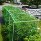 Garden Netting Green Anti Bird Protection Net Mesh Protect for Plants