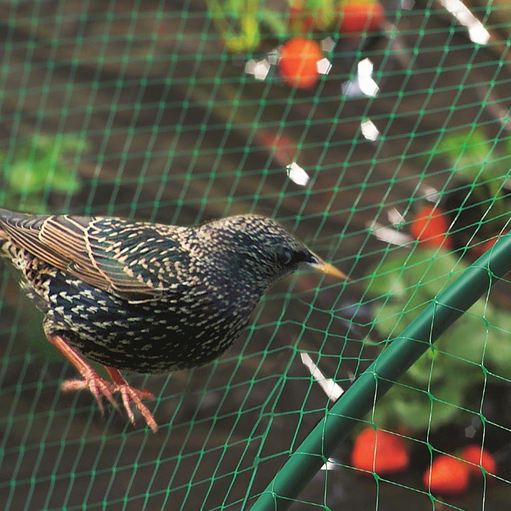 Garden Netting Green Anti Bird Protection Net Mesh Protect for Plants