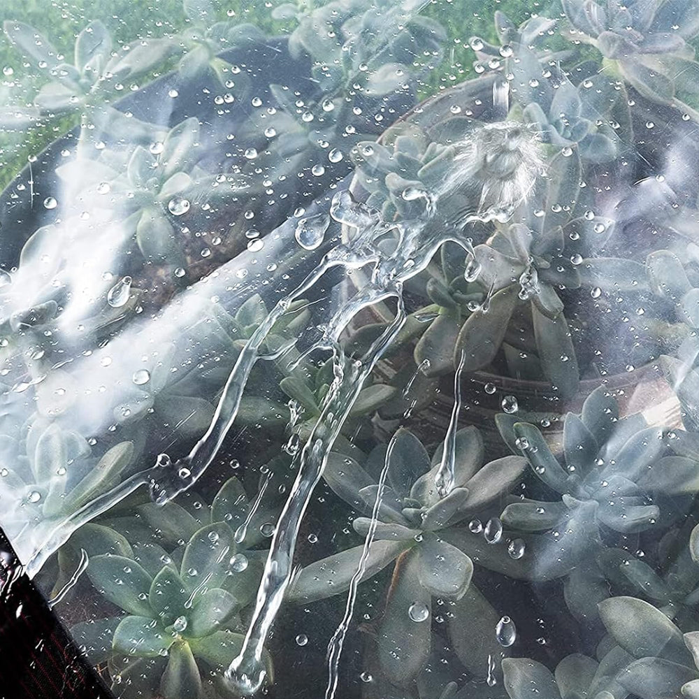 Clear Tarp Heavy Duty with Grommets Plastic Tarpaulin Cover