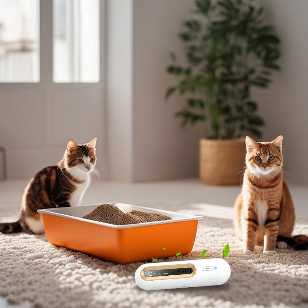 Mini Air Purifier Air Deodorizer Odor Eliminator