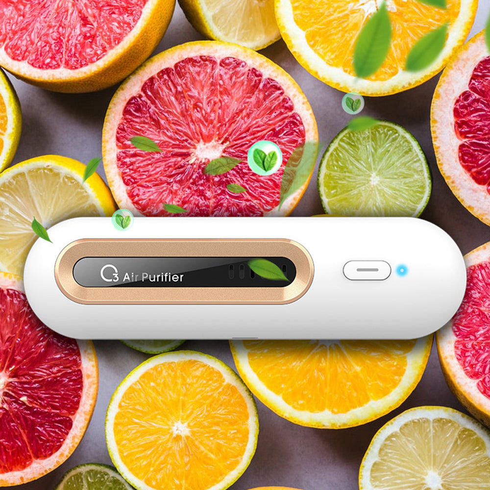 Mini Air Purifier Air Deodorizer Odor Eliminator