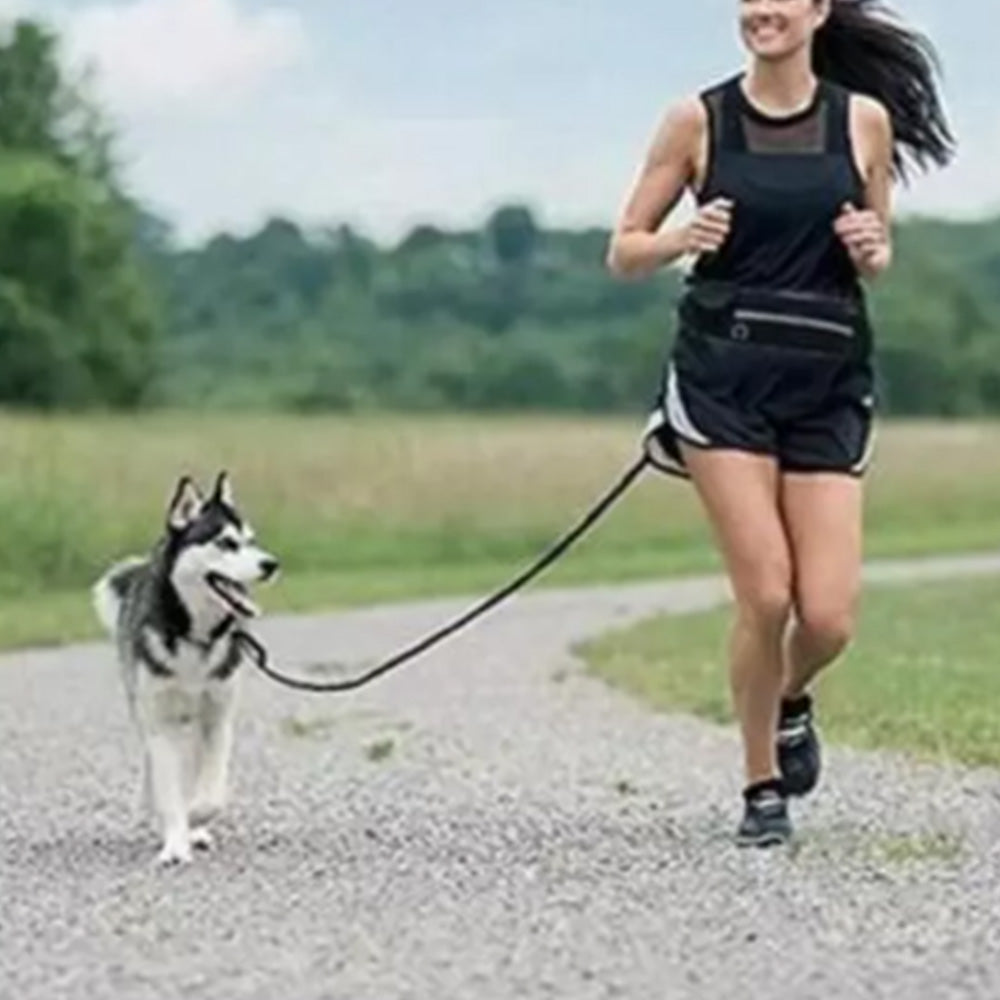 Hand Free Dog Leash With Zipper Pouch Dual Padded Handles Bungee for Jogging and Running Your pet