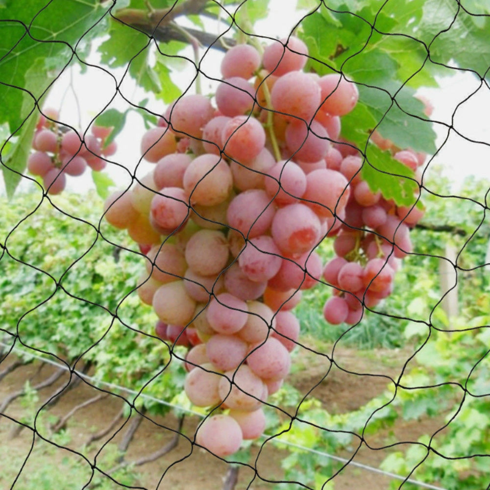 22x5m Nylon Bird Netting for Garden Fruit Tree and Crop Protection